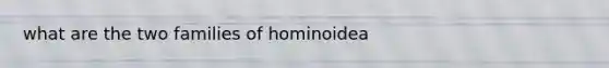 what are the two families of hominoidea