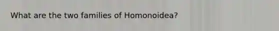 What are the two families of Homonoidea?