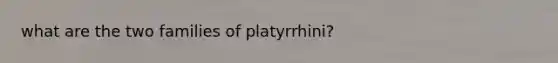 what are the two families of platyrrhini?