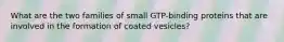 What are the two families of small GTP-binding proteins that are involved in the formation of coated vesicles?