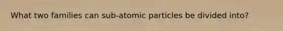 What two families can sub-atomic particles be divided into?