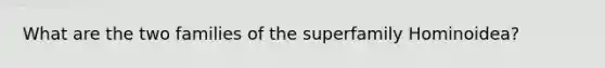 What are the two families of the superfamily Hominoidea?