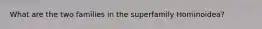 What are the two families in the superfamily Hominoidea?