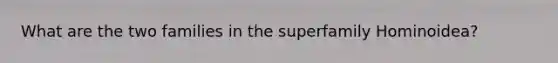 What are the two families in the superfamily Hominoidea?