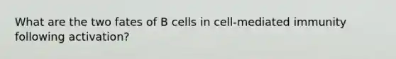 What are the two fates of B cells in cell-mediated immunity following activation?