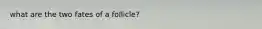 what are the two fates of a follicle?