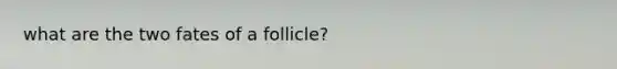 what are the two fates of a follicle?