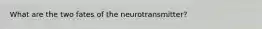 What are the two fates of the neurotransmitter?