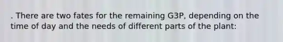 . There are two fates for the remaining G3P, depending on the time of day and the needs of different parts of the plant: