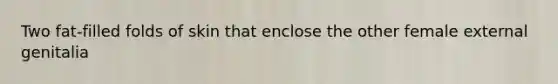 Two fat-filled folds of skin that enclose the other female external genitalia