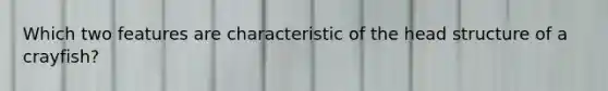 Which two features are characteristic of the head structure of a crayfish?