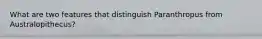 What are two features that distinguish Paranthropus from Australopithecus?
