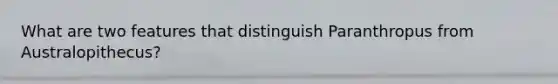 What are two features that distinguish Paranthropus from Australopithecus?