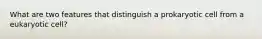 What are two features that distinguish a prokaryotic cell from a eukaryotic cell?