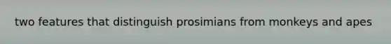 two features that distinguish prosimians from monkeys and apes