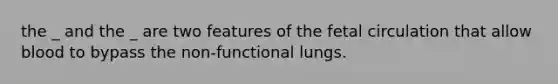 the _ and the _ are two features of the fetal circulation that allow blood to bypass the non-functional lungs.