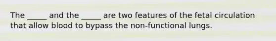The _____ and the _____ are two features of the fetal circulation that allow blood to bypass the non-functional lungs.