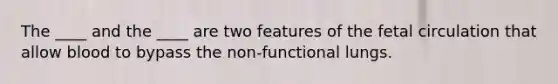 The ____ and the ____ are two features of the fetal circulation that allow blood to bypass the non-functional lungs.