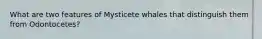 What are two features of Mysticete whales that distinguish them from Odontocetes?