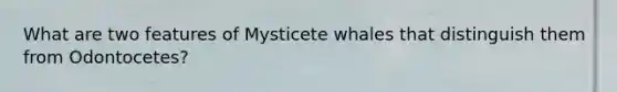 What are two features of Mysticete whales that distinguish them from Odontocetes?