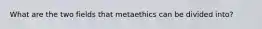 What are the two fields that metaethics can be divided into?