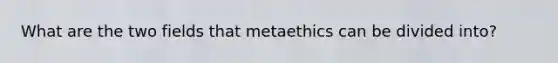 What are the two fields that metaethics can be divided into?