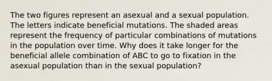 The two figures represent an asexual and a sexual population. The letters indicate beneficial mutations. The shaded areas represent the frequency of particular combinations of mutations in the population over time. Why does it take longer for the beneficial allele combination of ABC to go to fixation in the asexual population than in the sexual population?