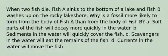 When two fish die, Fish A sinks to the bottom of a lake and Fish B washes up on the rocky lakeshore. Why is a fossil more likely to form from the body of Fish A than from the body of Fish B? a. Soft parts of the fish will decay more quickly in the water. b. Sediments in the water will quickly cover the fish. c. Scavengers in the water will eat the remains of the fish. d. Currents in the water will move the fish.