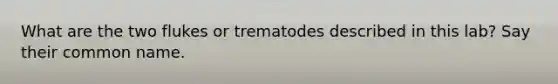 What are the two flukes or trematodes described in this lab? Say their common name.