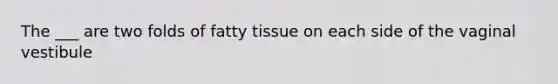 The ___ are two folds of fatty tissue on each side of the vaginal vestibule