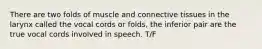 There are two folds of muscle and connective tissues in the larynx called the vocal cords or folds, the inferior pair are the true vocal cords involved in speech. T/F