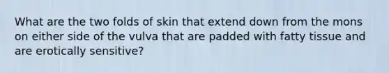 What are the two folds of skin that extend down from the mons on either side of the vulva that are padded with fatty tissue and are erotically sensitive?