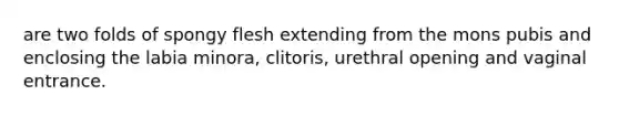 are two folds of spongy flesh extending from the mons pubis and enclosing the labia minora, clitoris, urethral opening and vaginal entrance.