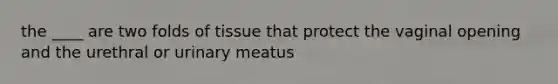 the ____ are two folds of tissue that protect the vaginal opening and the urethral or urinary meatus