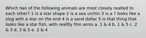 Which two of the following animals are most closely realted to each other? 1 is a star shape 2 is a sea urchin 3 is a ? looks like a slug with a star on the end 4 is a sand dollar 5 is that thing that looks like a star fish, with realllly thin arms a. 1 & 4 b. 1 & 5 c. 2 & 3 d. 3 & 5 e. 2 & 4