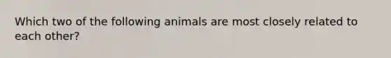 Which two of the following animals are most closely related to each other?