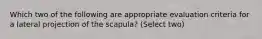 Which two of the following are appropriate evaluation criteria for a lateral projection of the scapula? (Select two)