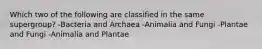 Which two of the following are classified in the same supergroup? -Bacteria and Archaea -Animalia and Fungi -Plantae and Fungi -Animalia and Plantae