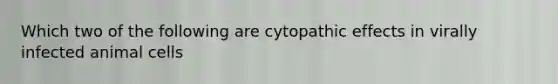 Which two of the following are cytopathic effects in virally infected animal cells