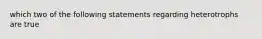 which two of the following statements regarding heterotrophs are true