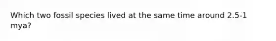 Which two fossil species lived at the same time around 2.5-1 mya?
