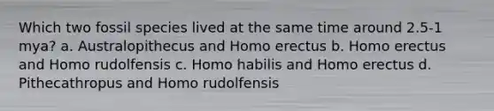 Which two fossil species lived at the same time around 2.5-1 mya? a. Australopithecus and Homo erectus b. Homo erectus and Homo rudolfensis c. Homo habilis and Homo erectus d. Pithecathropus and Homo rudolfensis