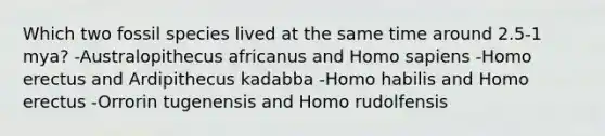 Which two fossil species lived at the same time around 2.5-1 mya? -Australopithecus africanus and Homo sapiens -Homo erectus and Ardipithecus kadabba -Homo habilis and Homo erectus -Orrorin tugenensis and Homo rudolfensis