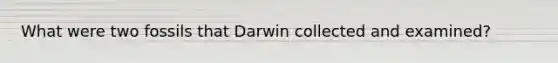 What were two fossils that Darwin collected and examined?