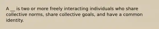 A __ is two or more freely interacting individuals who share collective norms, share collective goals, and have a common identity.