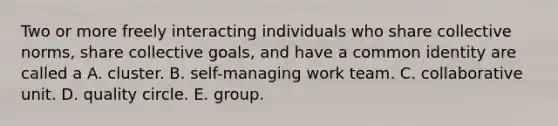 Two or more freely interacting individuals who share collective norms, share collective goals, and have a common identity are called a A. cluster. B. self-managing work team. C. collaborative unit. D. quality circle. E. group.