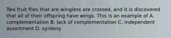 Two fruit flies that are wingless are crossed, and it is discovered that all of their offspring have wings. This is an example of A. complementation B. lack of complementation C. independent assortment D. synteny