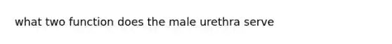 what two function does the male urethra serve