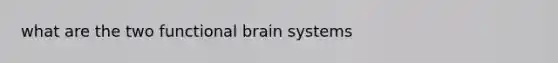 what are the two functional brain systems