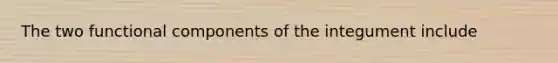 The two functional components of the integument include